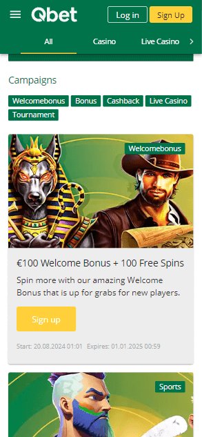 What you’ll get: a full‑featured casino that lets you start playing in under - overview